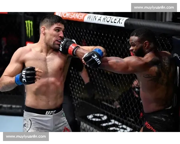 10.12 UFC 里约热内卢:卢奎主场迎敌,彭兹尼比奥能否终结连败? 10.12 UFC 里约热内卢:卢奎主场迎敌,彭兹尼比奥能否终结连败?